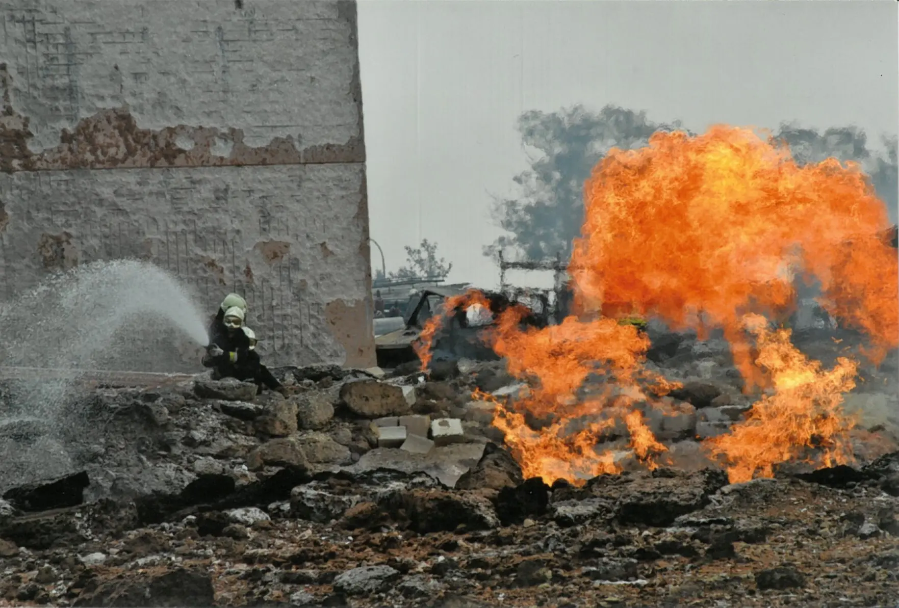 feu dans un buisson