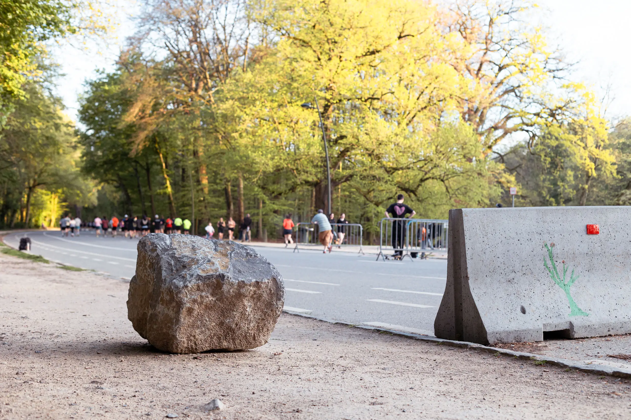 Rocher et bloc de béton dans le bois de la Cambre